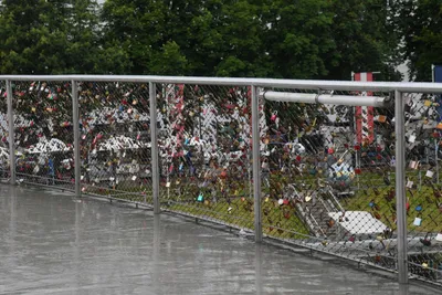 DSC_6150 (Large).JPG